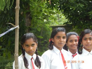 DSCN2317