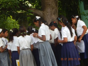 DSCN2318