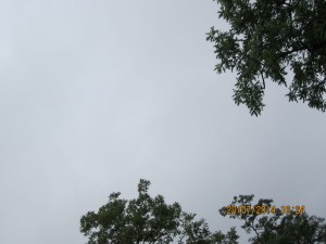 IMG_1757